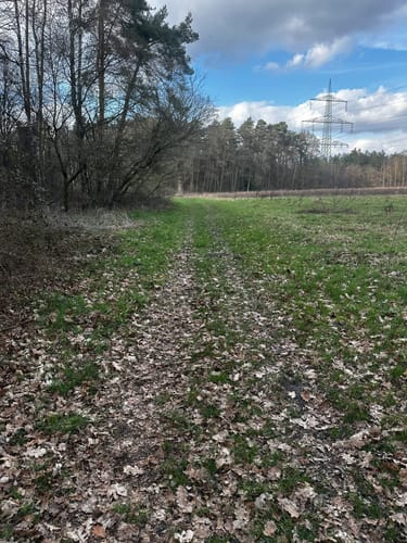 Heimatkundlicher Wanderweg Hövelhofer Wald
