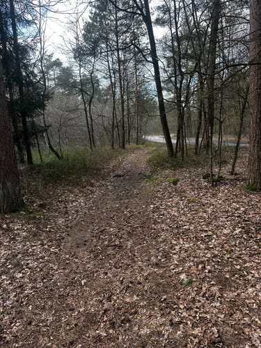 Heimatkundlicher Wanderweg Hövelhofer Wald