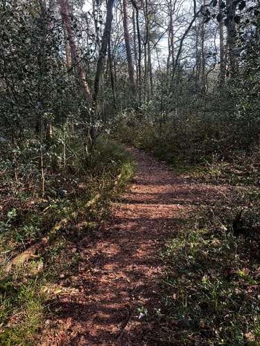 Heimatkundlicher Wanderweg Hövelhofer Wald