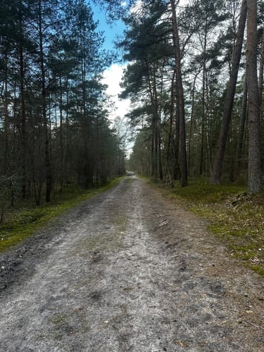 Heimatkundlicher Wanderweg Hövelhofer Wald