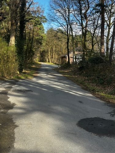 Heimatkundlicher Wanderweg Hövelhofer Wald