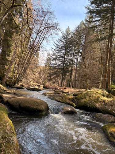 Uferpfad-Runde Waldnaabtal (lang)