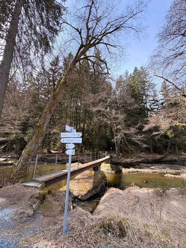 Uferpfad-Runde Waldnaabtal (lang)