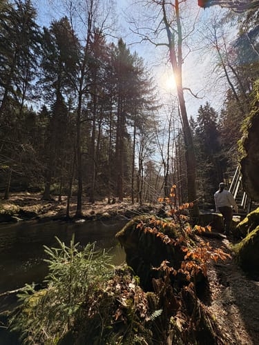 Uferpfad-Runde Waldnaabtal (lang)