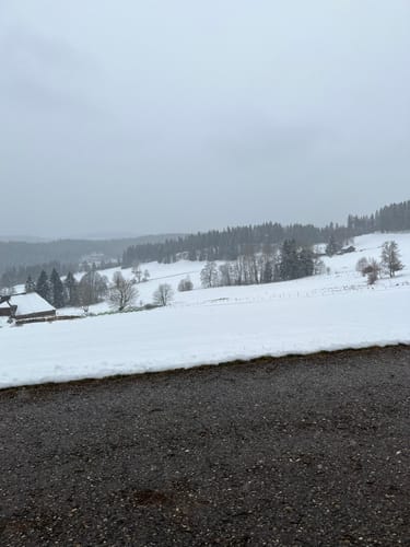 Saig - Titisee - Hochfirst