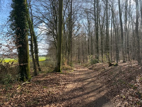 Walk of Wisdom Etappe 3: Kranenburg - Plasmolen