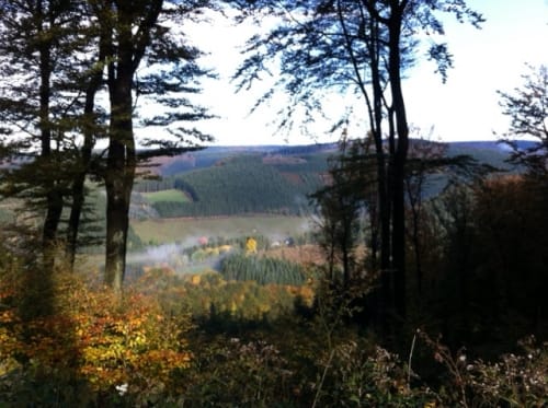 Wanderweg NO2 (Nordenau)