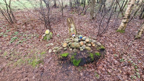 Durch das Naturschutzgebiet Hohes Moor