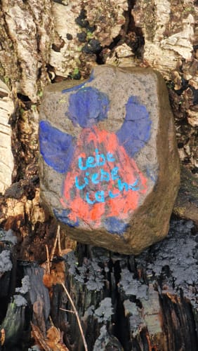 Durch das Naturschutzgebiet Hohes Moor