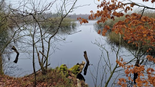 Durch das Naturschutzgebiet Hohes Moor