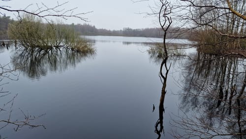 Durch das Naturschutzgebiet Hohes Moor