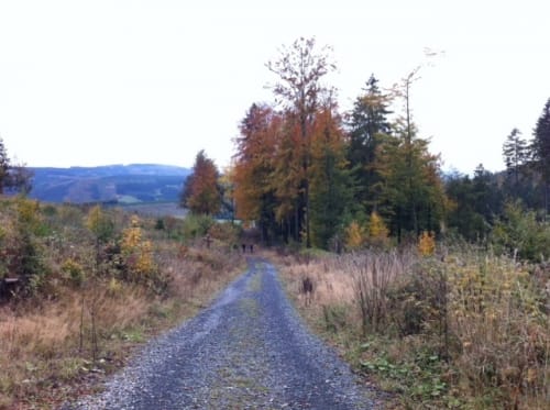 Wanderweg NO2 (Nordenau)