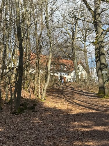 Alzenau 2 : Wald und Wallfahrt