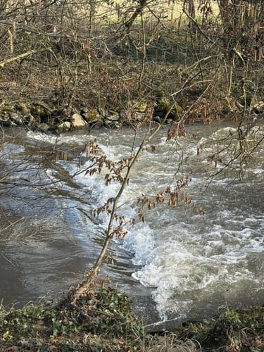 Alzenau 2 : Wald und Wallfahrt