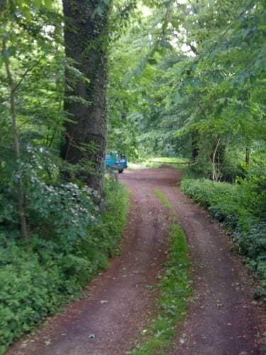 Trimmpfad im Reinfelder Wald