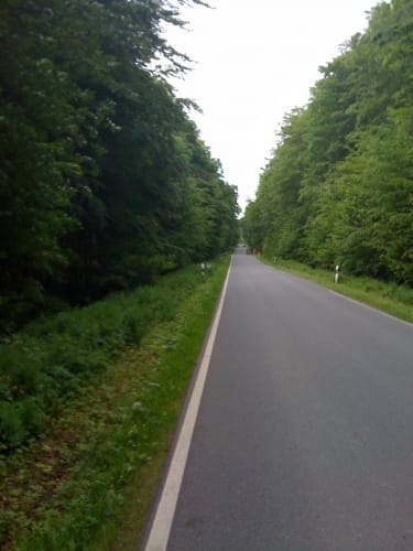 Trimmpfad im Reinfelder Wald