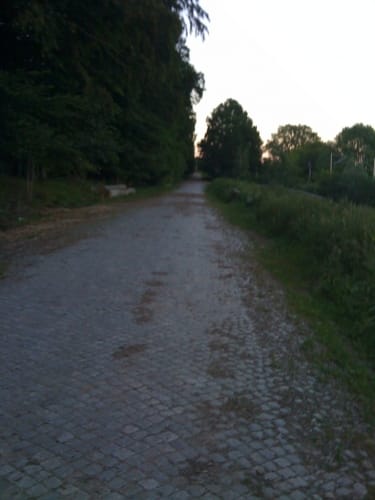 Durch den Kneeden-Wald