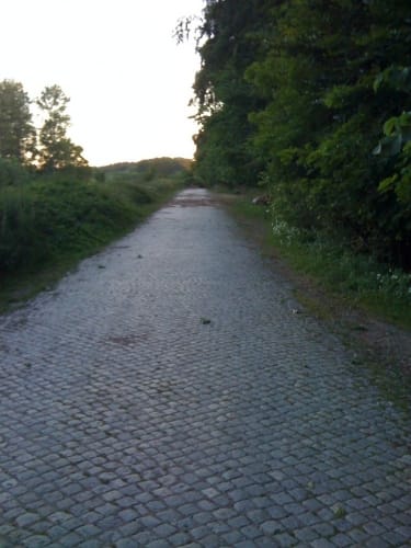 Durch den Kneeden-Wald