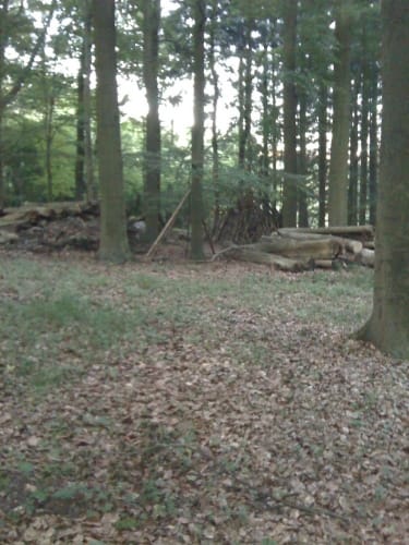 Durch den Kneeden-Wald