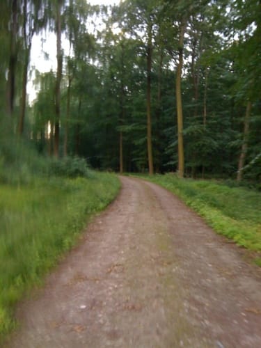 Durch den Kneeden-Wald