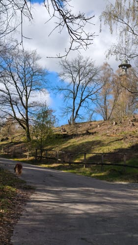 Haard - Mutter Wehner - Farnberg - Stimberg