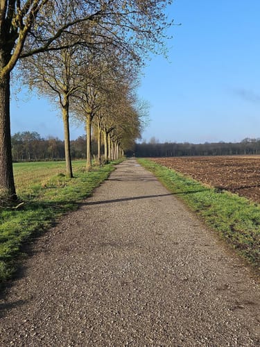 Heidhofsee Waldweg