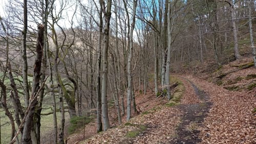 Dreiherrensteinroute