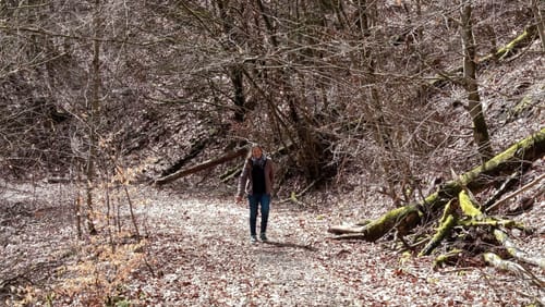 Dreiherrensteinroute
