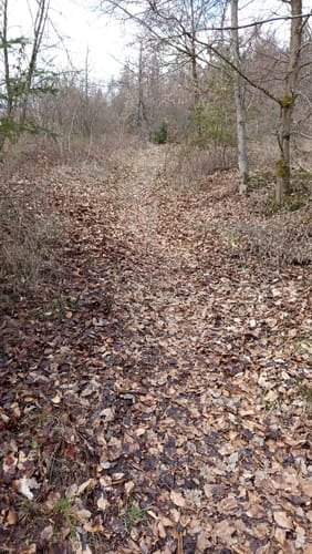 Dreiherrensteinroute