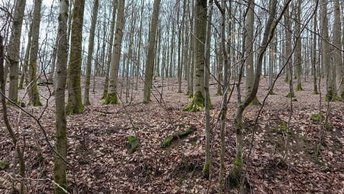 Dreiherrensteinroute