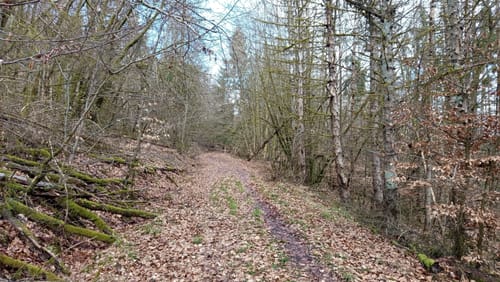 Dreiherrensteinroute