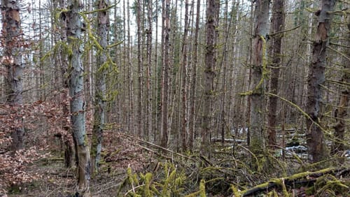 Dreiherrensteinroute
