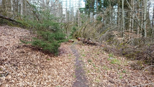 Dreiherrensteinroute