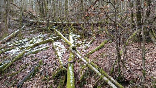 Dreiherrensteinroute