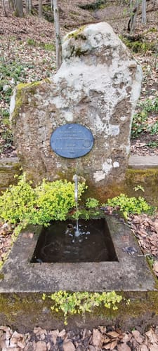 Hassel - Marienrelief - Reichenbrunn