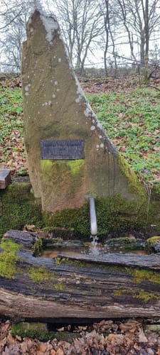 Hassel - Marienrelief - Reichenbrunn