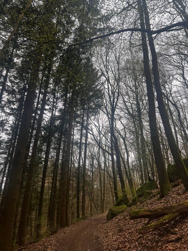 Wünschmichelbach Rundstrecke