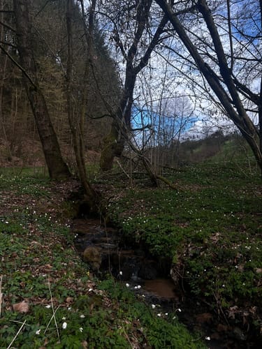 Wünschmichelbach Rundstrecke