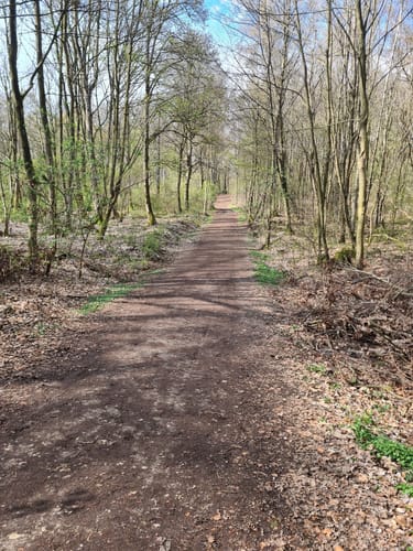 Im Mühlenbusch