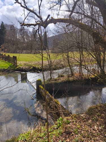Lauterfelsensteig