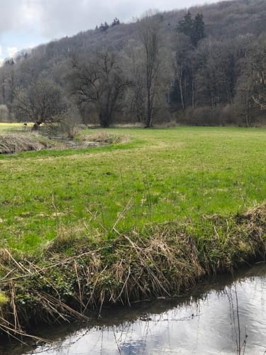 Lauterfelsensteig