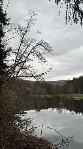 Vom Blaibacher Stauwehr zum Höllenstein Stauwehr