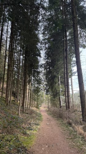 Vom Blaibacher Stauwehr zum Höllenstein Stauwehr