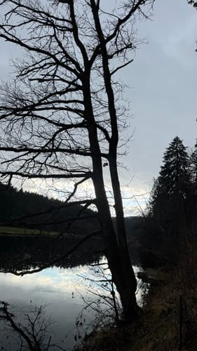 Vom Blaibacher Stauwehr zum Höllenstein Stauwehr
