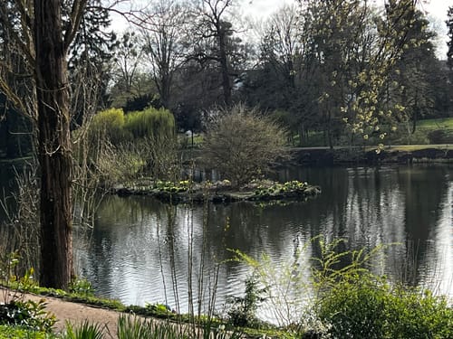 Schloss Homburg und Kurpark