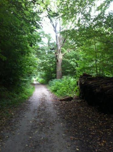 Eutiner See Rundweg