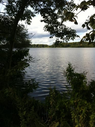 Eutiner See Rundweg