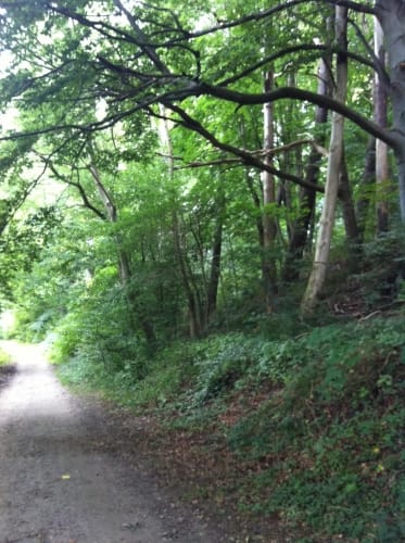 Eutiner See Rundweg
