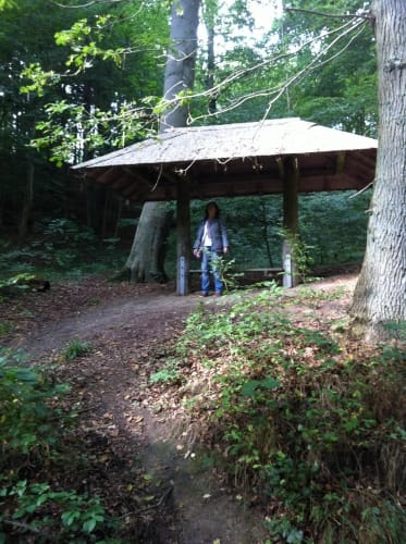Eutiner See Rundweg