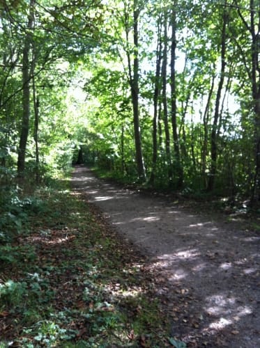 Eutiner See Rundweg